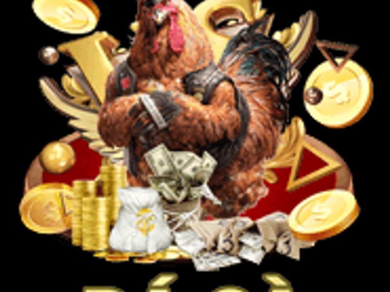 Hình ảnh trận đấu đá gà trực tiếp kịch tính