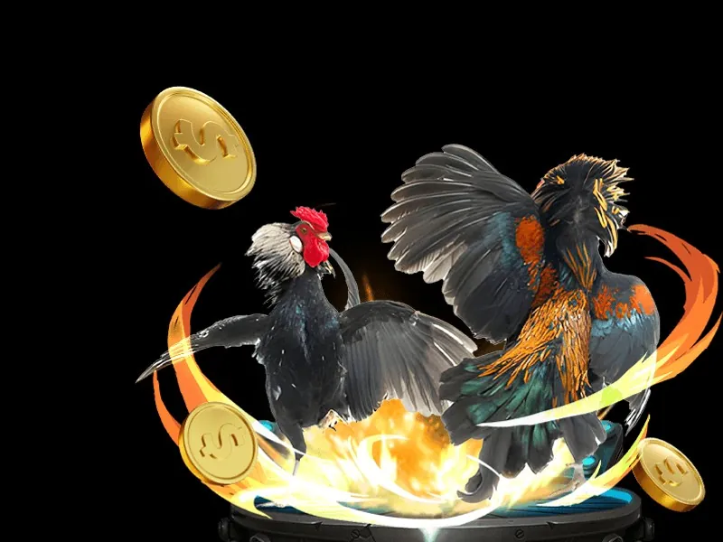 Hình ảnh gà tre Việt Nam