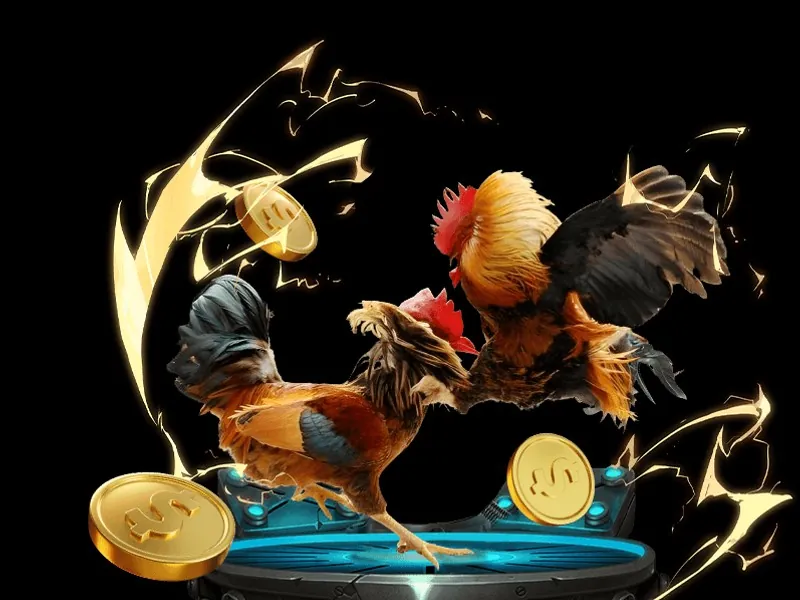 Đá gà trực tuyến kịch tính